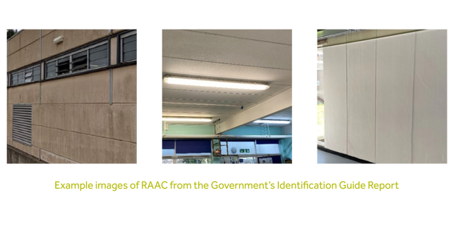 Example images of RAAC