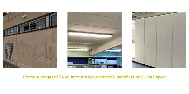Example images of RAAC