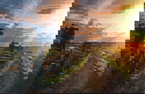 Farm